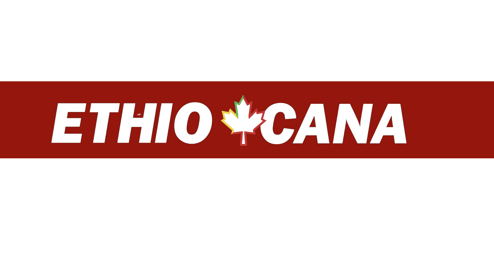 Ethio Cana Repair Shop